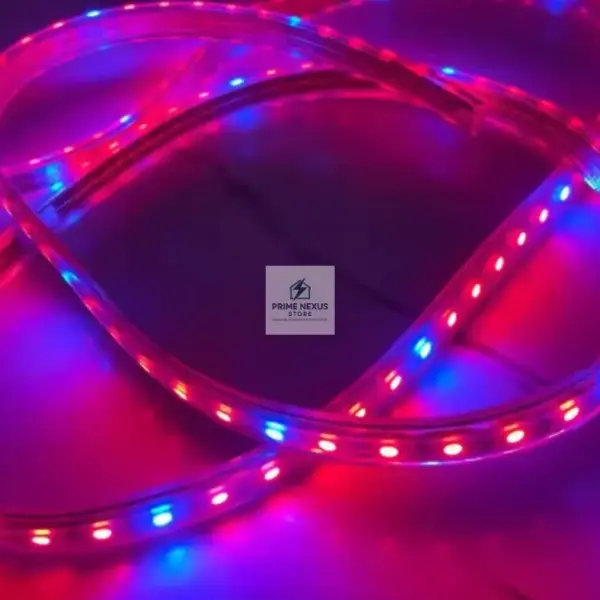 100m Waterproof Full Spectrum LED Grow Strip Light with 96 LEDs – Ghana