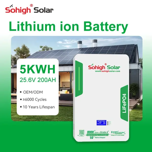 10kWh LiFePO4 Solar Battery 51.2V with Smart BMS – Wall-Mounted Energy Storage System