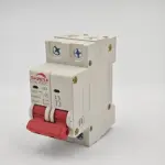 2 Pole 6A–63A 220V AC MCB C Curve 6kA Circuit Breaker
