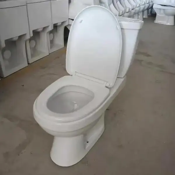 Modern Ceramic Dual Flush Toilet Ghana