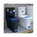 Modern Dual Flush Ceramic Toilet Ghana