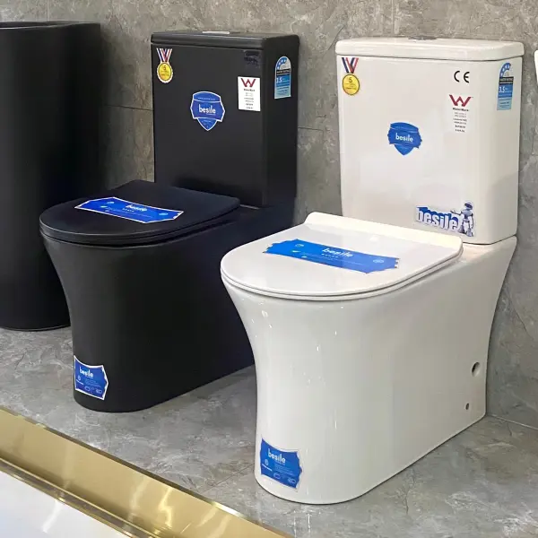 Modern Dual Flush Ceramic Toilet Ghana