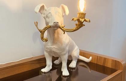 The Tale of Kofi and the Magical Dog Lamp