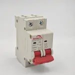 2 Pole 6A–63A 220V AC MCB C Curve 6kA Circuit Breaker