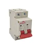 2 Pole 6A–63A 220V AC MCB C Curve 6kA Circuit Breaker