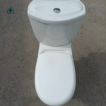 Modern Ceramic Dual Flush Toilet