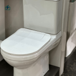 Dual Flush Ceramic Toilet