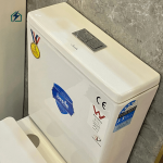 Modern Dual Flush Ceramic Toilet