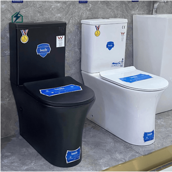 Modern Dual Flush Ceramic Toilet