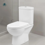 Dual Flush Ceramic Toilet