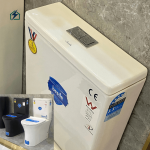 Modern Dual Flush Ceramic Toilet