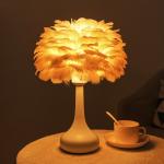 Feather Desk Lamp TD23/TD24 – Bedside Decorative Lamp Ghana