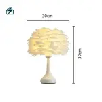 Feather Desk Lamp TD23/TD24 – Decorative USB Bedside Lamp for Bedrooms in Ghana