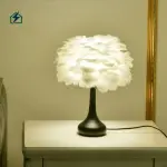 Feather Desk Lamp TD23/TD24 – Decorative USB Bedside Lamp for Bedrooms in Ghana