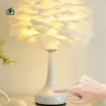 Feather Desk Lamp TD23/TD24 – Decorative USB Bedside Lamp for Bedrooms in Ghana