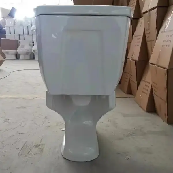 Modern Ceramic Dual Flush Toilet Ghana