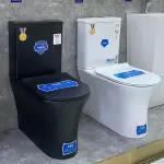 Modern Dual Flush Ceramic Toilet Ghana